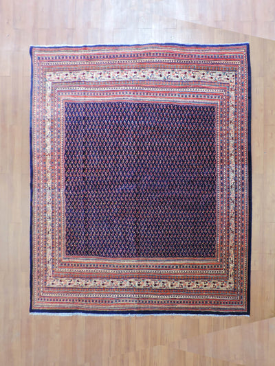 Koko-2224