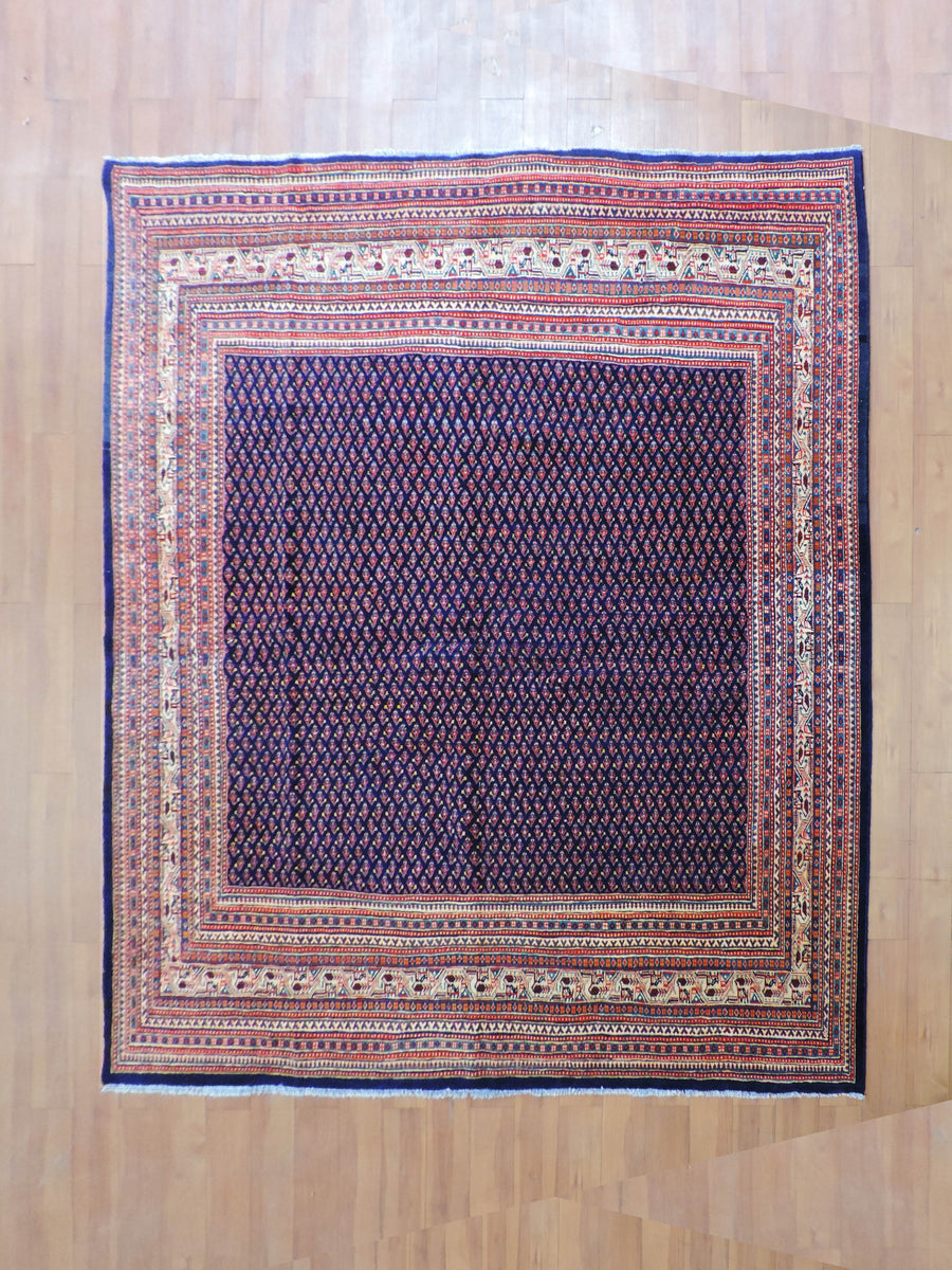 Koko-2224
