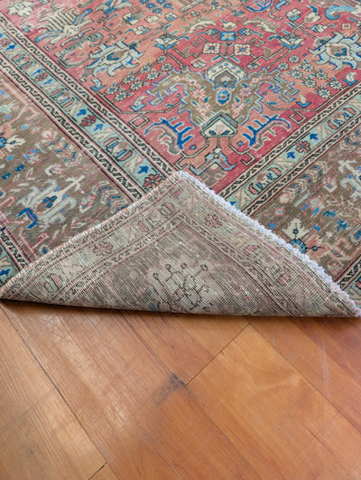 koko-2459