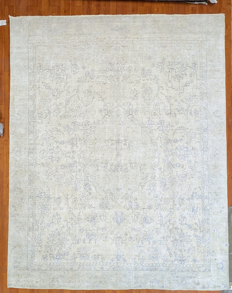 Koko-2462