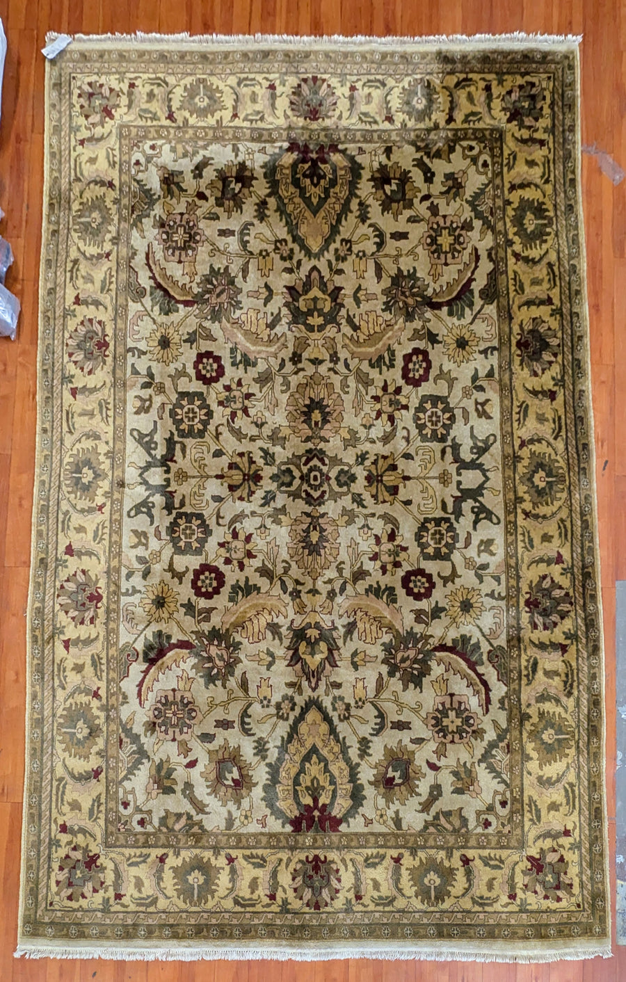 koko-2263