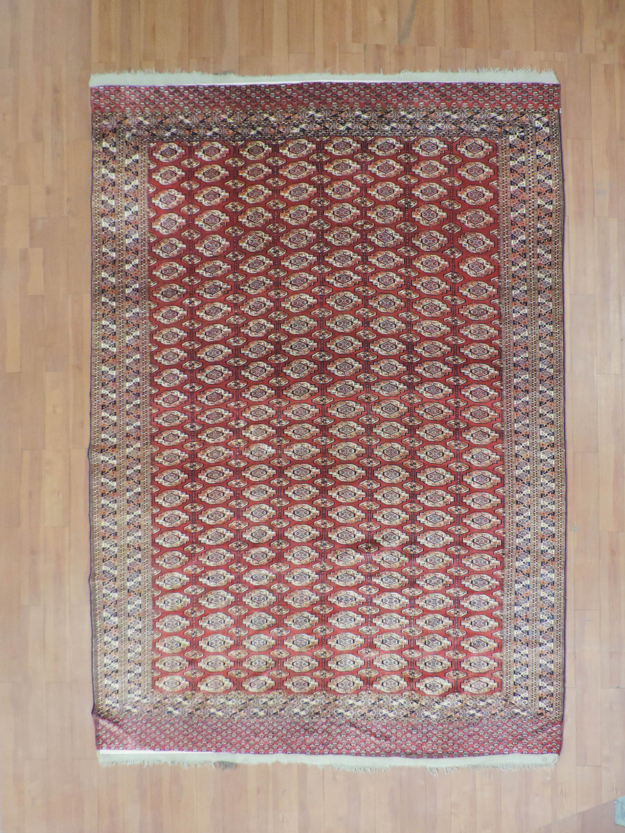 KOKO-E00237