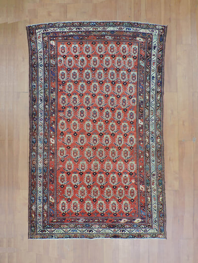 KOKO-2394