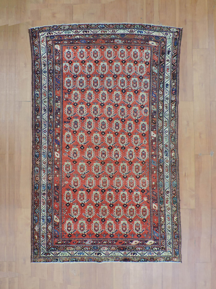 KOKO-2394